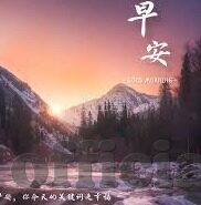 足球比分f网-足球比分F网，足球迷的实时数据乐园与深度分析宝库